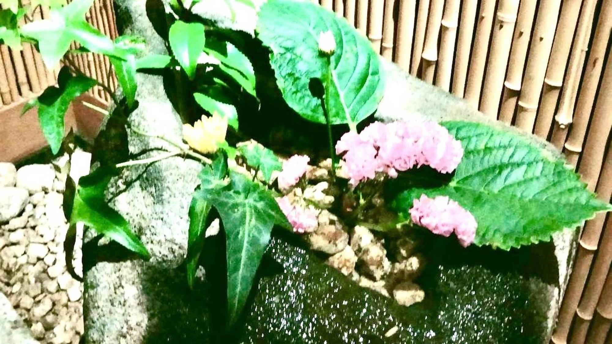 Shuku Kaifuu Hotel Minamichita Luaran gambar